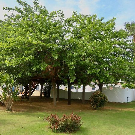 Penzion Naturetreehouse Casa Sobre Los Arboles Blanes Exteriér fotografie